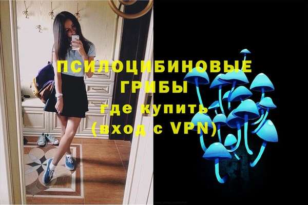 MDMA Богородск